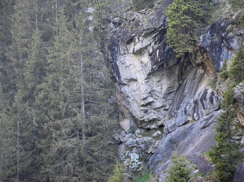 Gasteregesicht